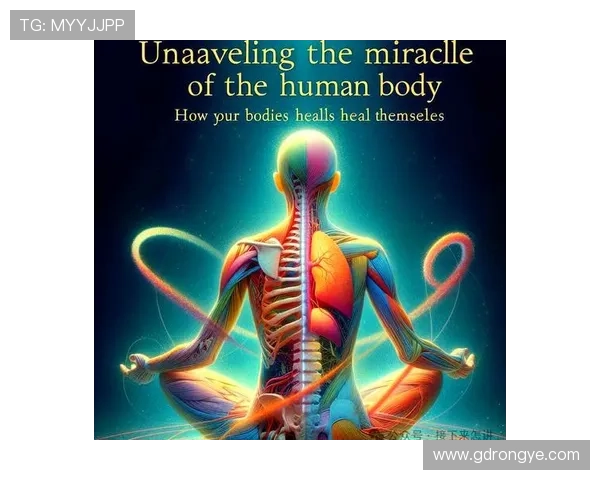 人体探险队SJ：解锁身体的奥秘，开启奇迹之旅